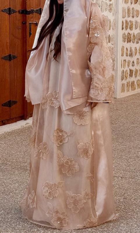 Organza (6)